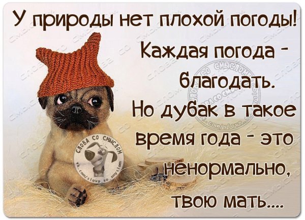 Цитаты про погоду и настроение