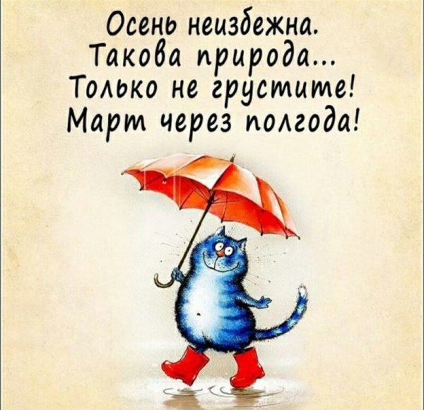 Осеннее настроение цитаты прикольные