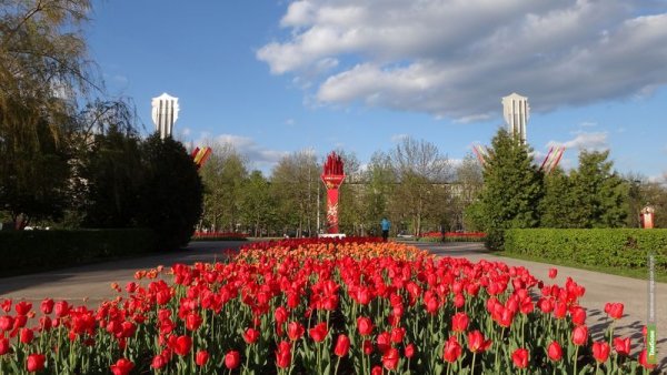 Тамбов парк Победы улица