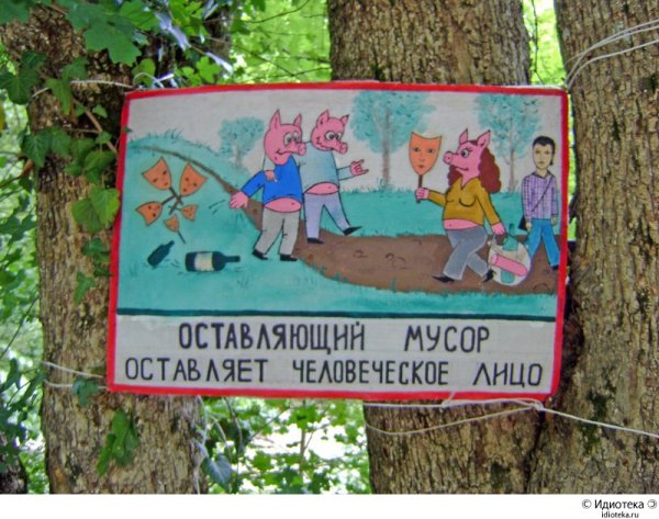 Плакат не мусорить в лесу