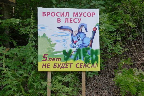 Не мусорить в лесу