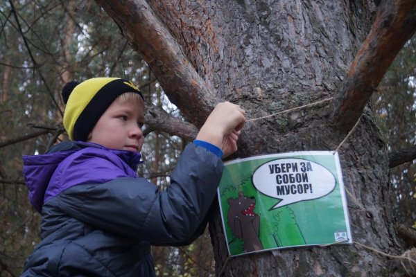 Собирают мусор в лесу