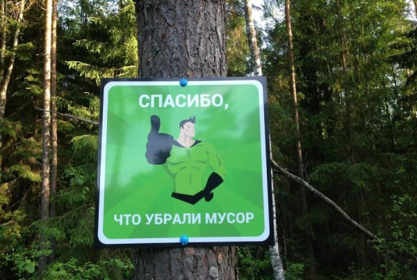 Табличка не мусорить в лесу