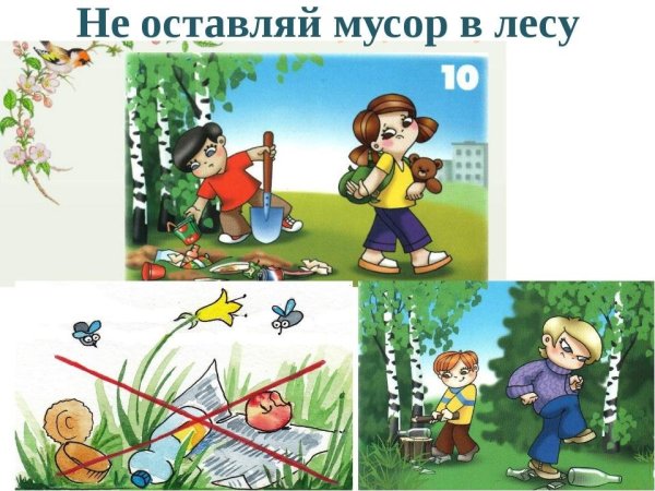 Не мусорить в лесу