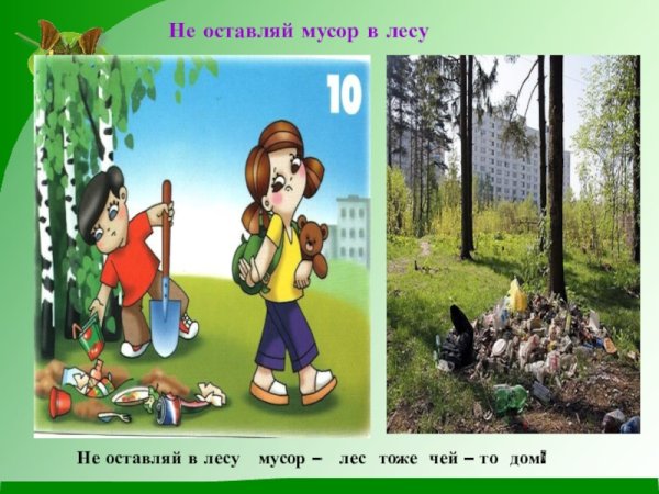 Мусорить в лесу