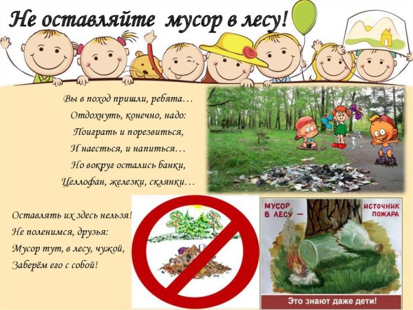 Памятка про мусор в лесу