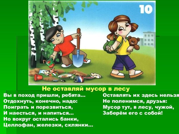 Правила нельзя мусорить в лесу