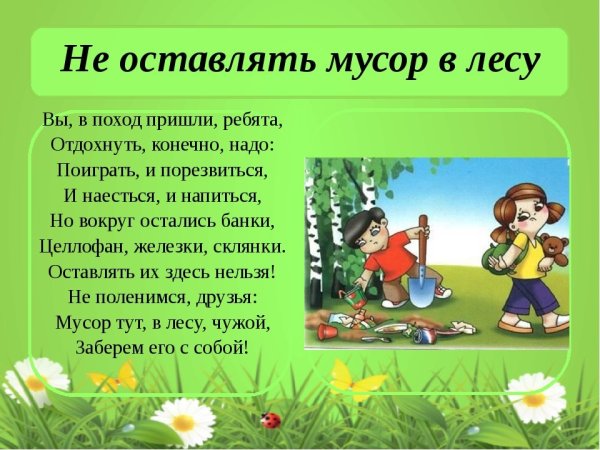 Почему нельзя мусорить в лесу для детей