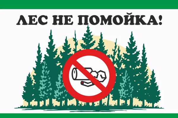 Табличка не мусорить в лесу