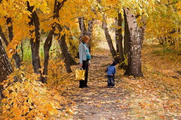 Прогулка по осеннему лесу