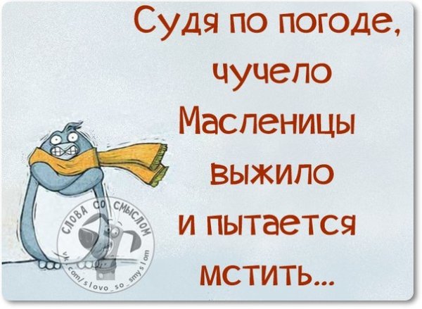 Судя по погоде чучело Масленицы выжило