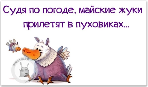 Судя по погоде майские жуки прилетят в пуховиках