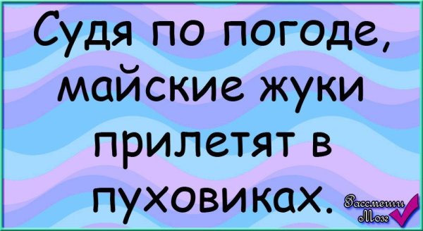 Майские жуки в пуховиках