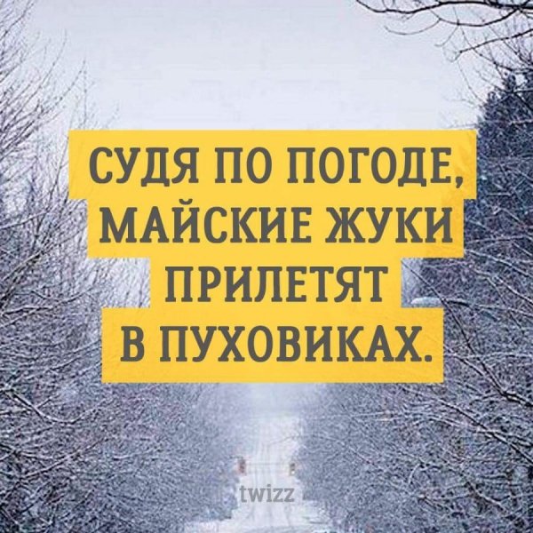 Майские жуки прилетят в пуховиках