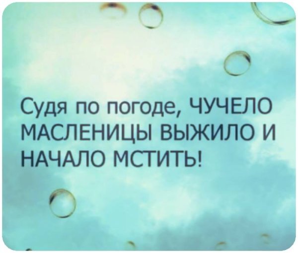 Судя по погоде чучело Масленицы выжило
