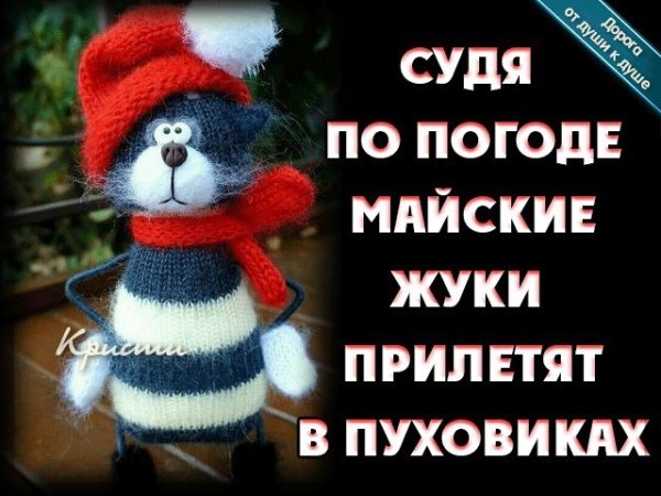 Судя по погоде майские жуки прилетят в пуховиках