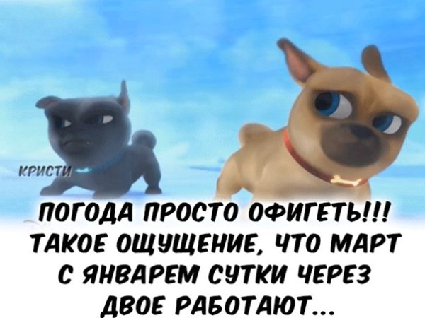Судя по погоде наступило пятое время года