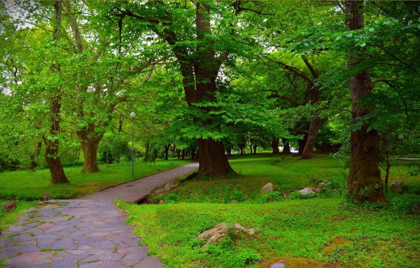 Природа парка Грин парк