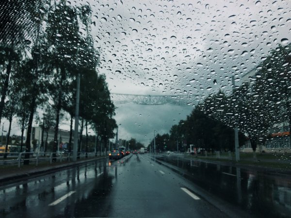 Люди которые любят дождь