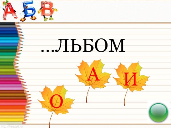 Словарное слово альбом в картинках