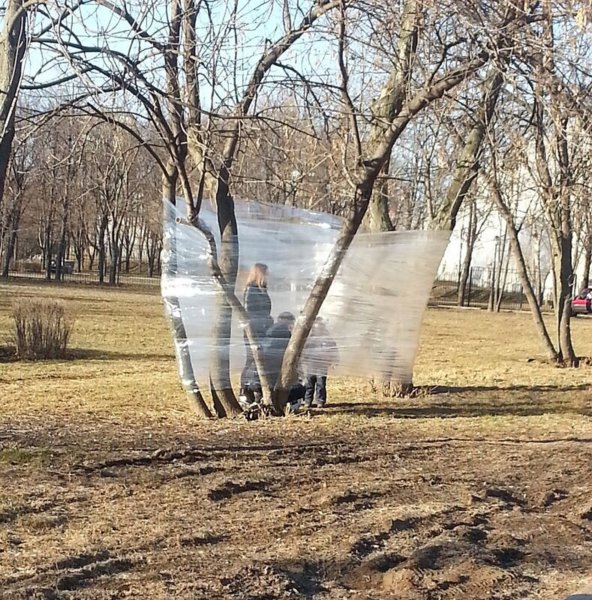Ветер прикол