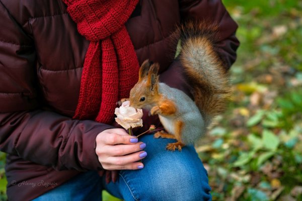 Екатеринбург дендропарк белочки