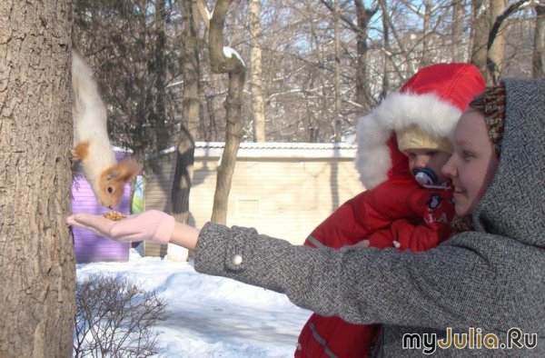 Кормление белочек в зимнем парке