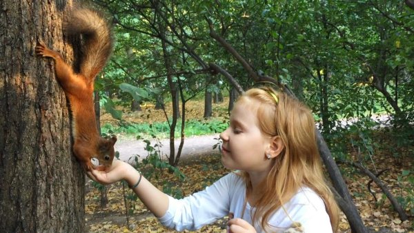 Белка в парке с детьми