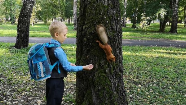 Белка в парке мальчик