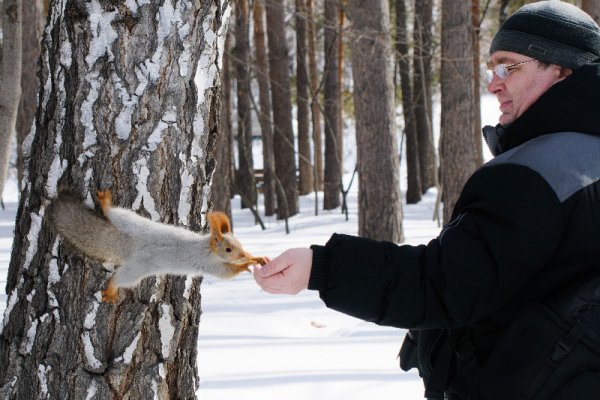 Человек кормит белочку