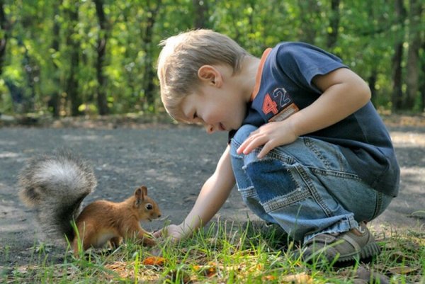 Встреча с белкой в парке