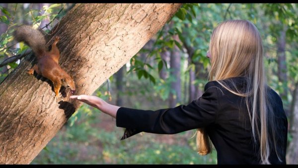 Девочка с белкой в руках