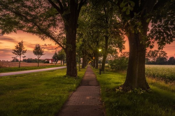 Закат в парке