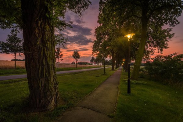 Вечер закат парк