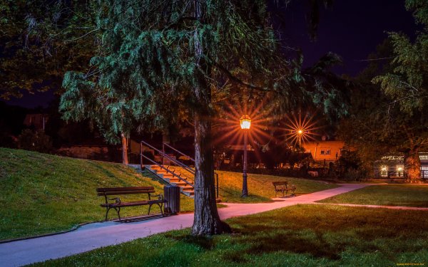 Вилино парк ночью