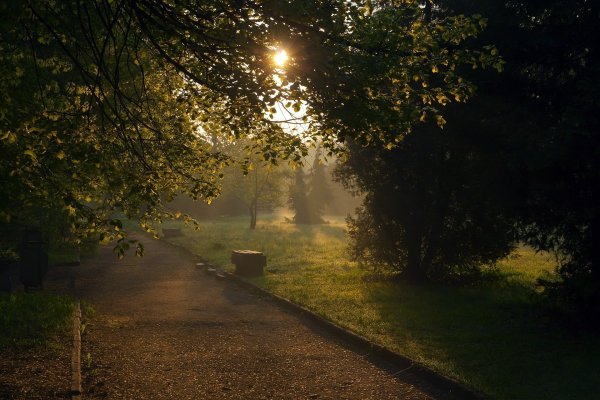 Рассвет в парке