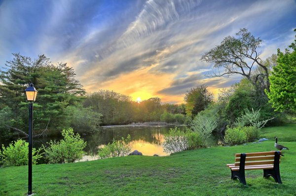 Пейзаж парк лето