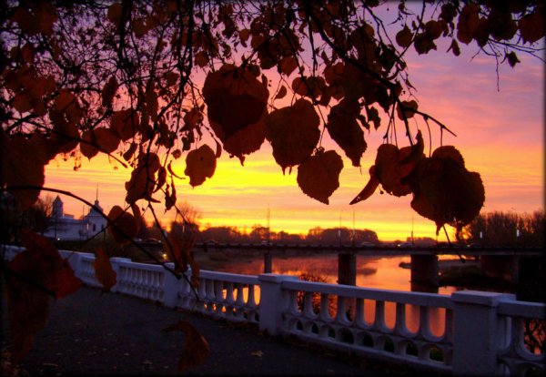 Осенний ночной Ярославль