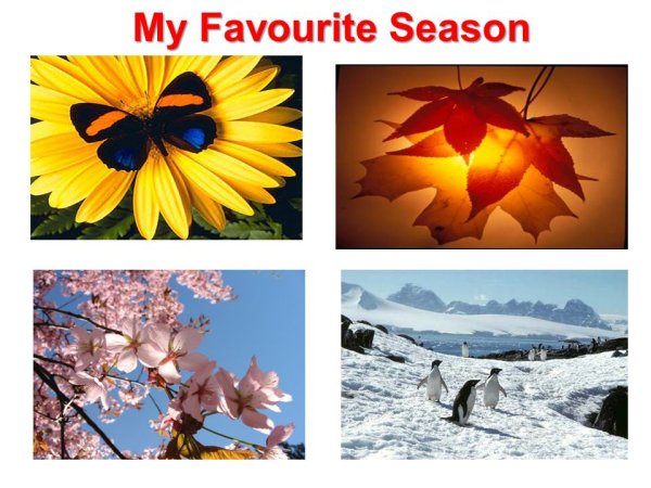 Проект my favourite Season