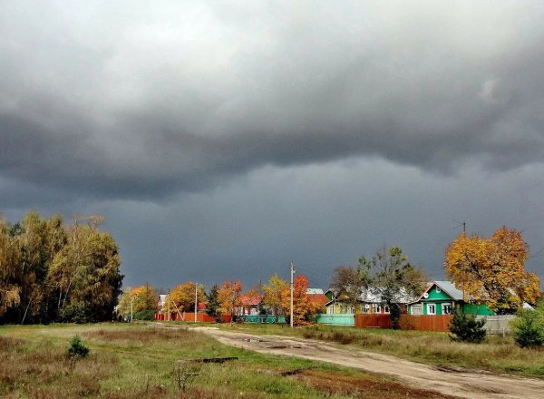 Перед дождем