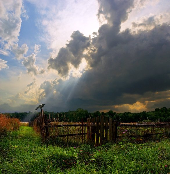 Кольчугино перед грозой