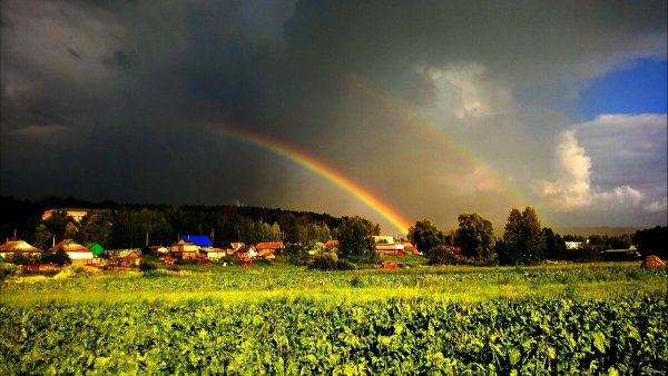 Лето в деревне