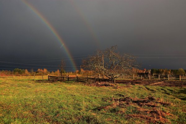 Природа после грозы