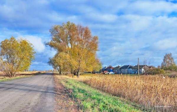 Села Воронежской области