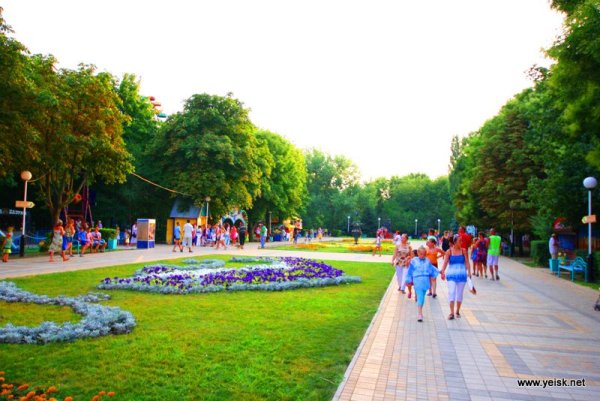 Город Ейск Краснодарский край парк имени Поддубного