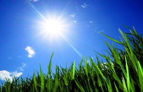 Знойное солнце