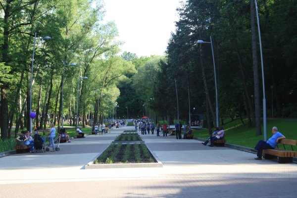 Город Воронеж парк Динамо