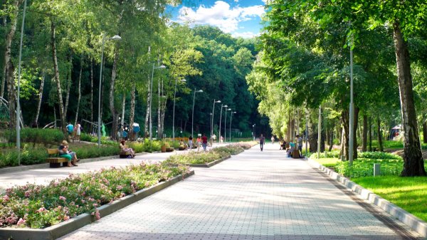 Центральный ПКИО Воронеж