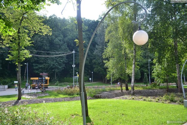 Парк Динамо Воронеж 2022