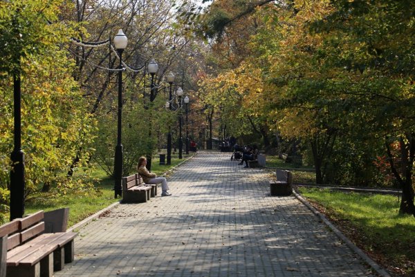 Сквер Динамо Воронеж